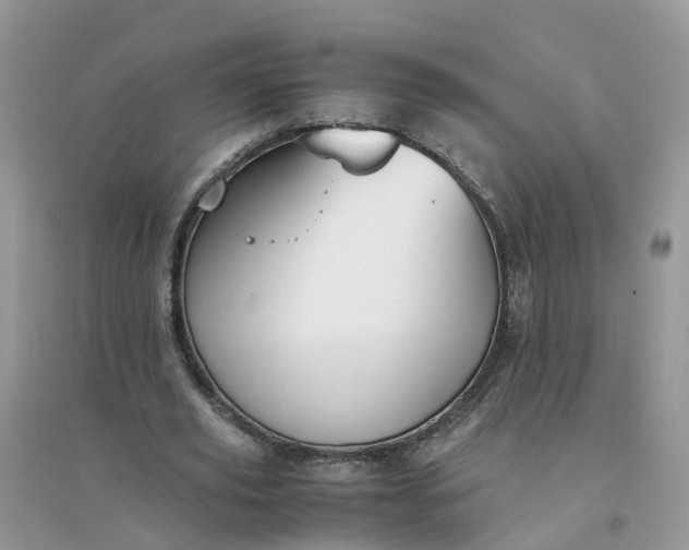 X0000096160629200802011256