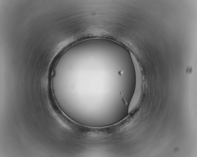 X0000096160630200802011256