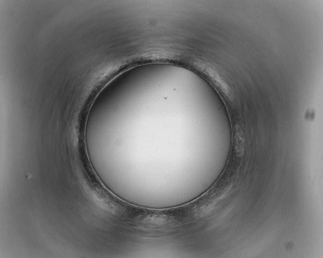 X0000096160631200802011256