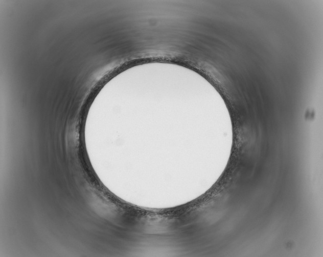 X0000096160632200802011256