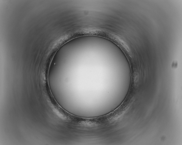 X0000096160633200802011256