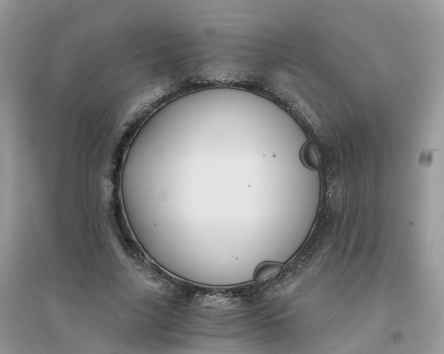 X0000096160635200802011257