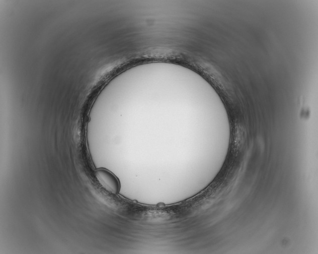 X0000096160636200802011257