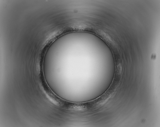 X0000096160638200802011257