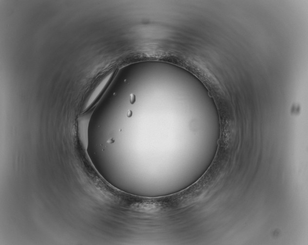 X0000096160639200802011257