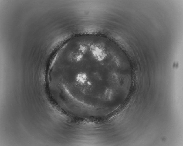 X0000096160640200802011257