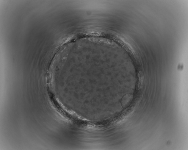 X0000096160641200802011257