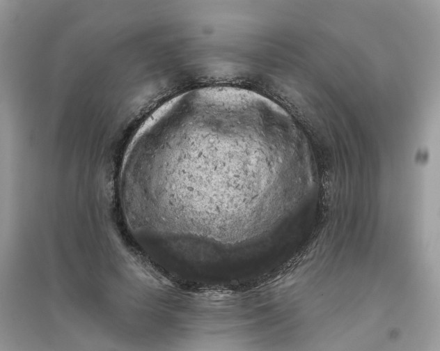 X0000096160642200802011257