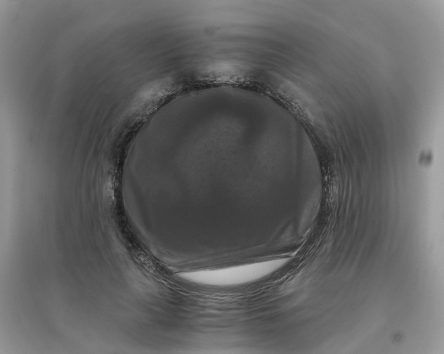 X0000096160643200802011257