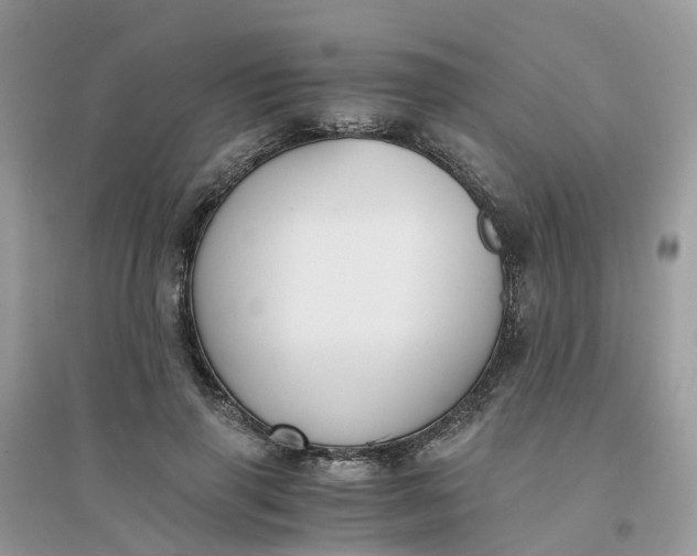 X0000096160645200802011257