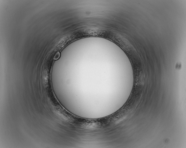 X0000096160646200802011257