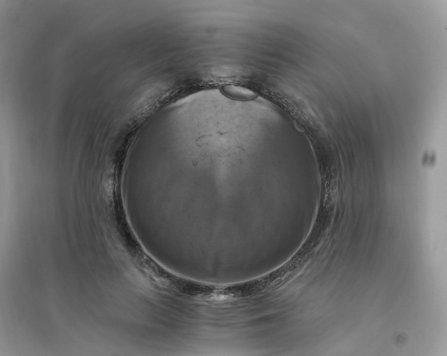 X0000096160647200802011257