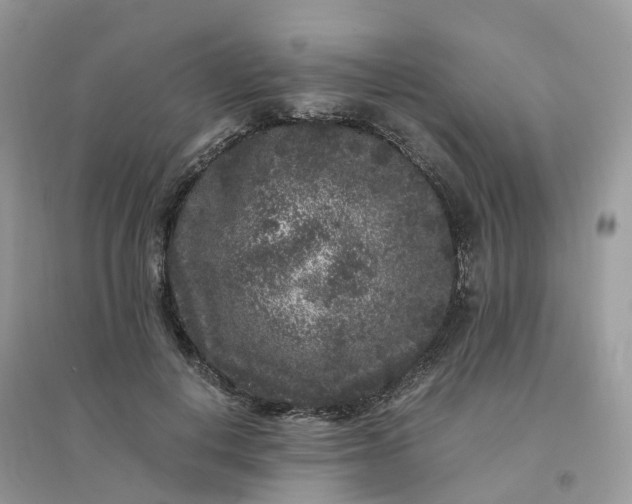 X0000096160648200802011257