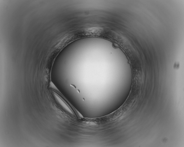 X0000096160649200802011257