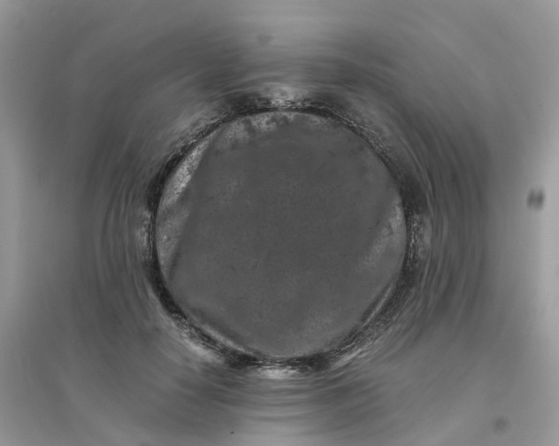 X0000096160650200802011257