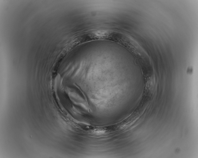 X0000096160651200802011257