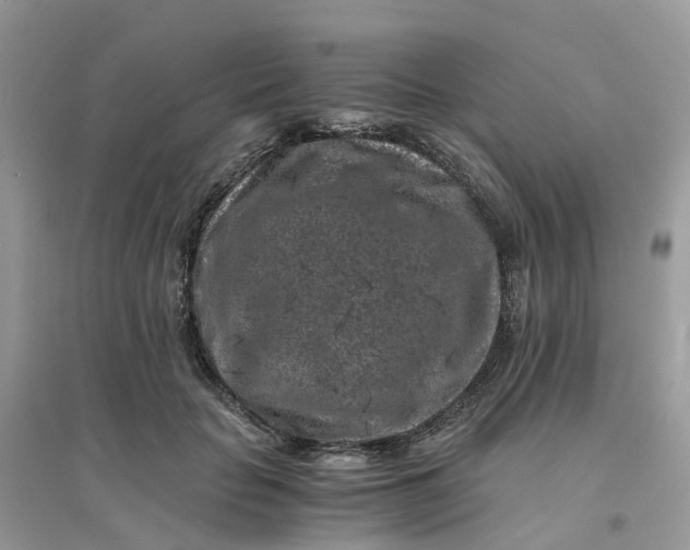 X0000096160653200802011257