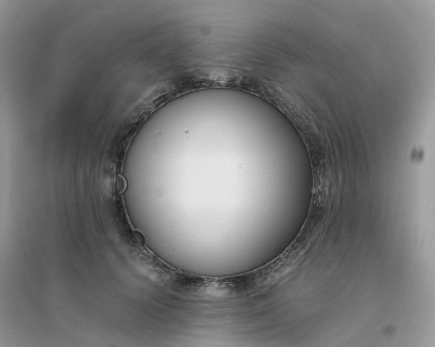 X0000096160656200802011257