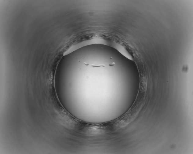 X0000096160657200802011257