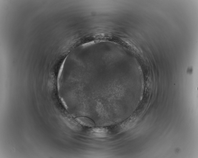 X0000096160659200802011257