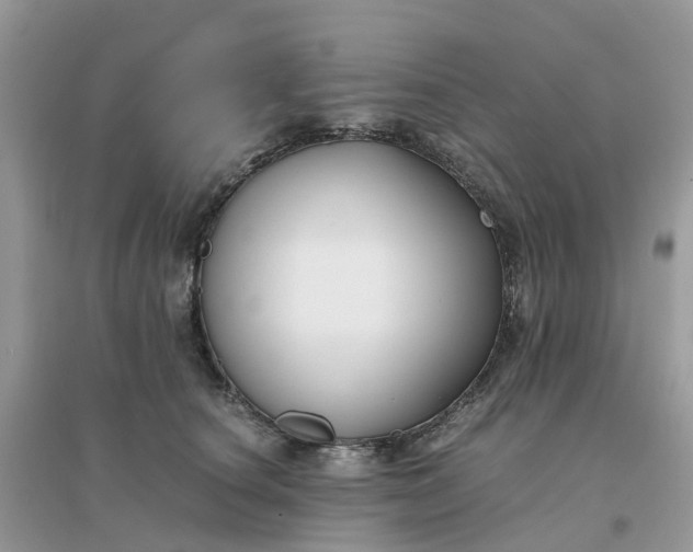 X0000096160660200802011257