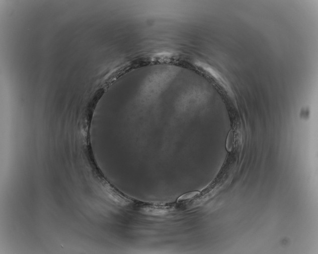 X0000096160661200802011257