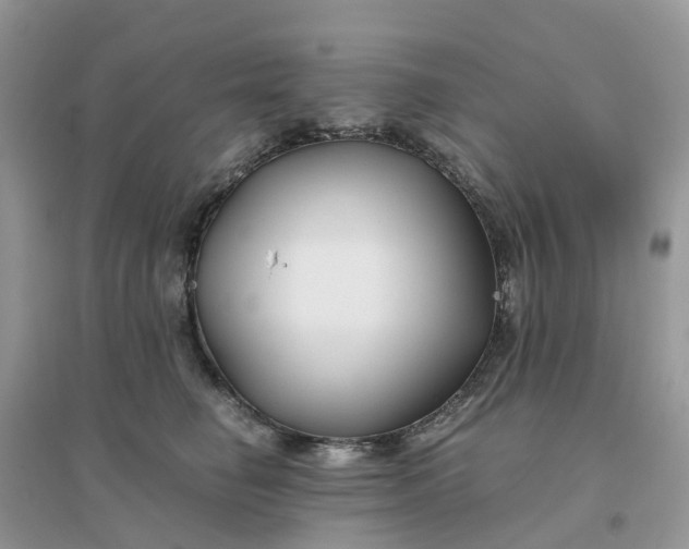 X0000096160662200802011257