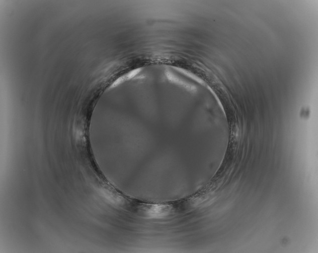 X0000096160663200802011257