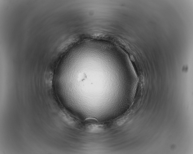 X0000096160664200802011257