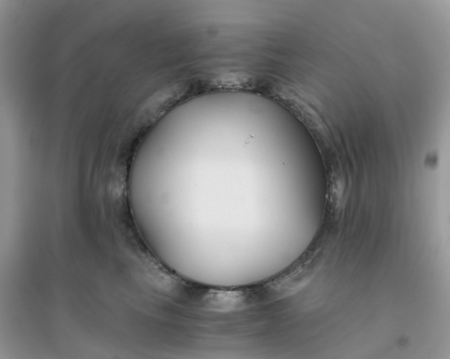 X0000096160665200802011257