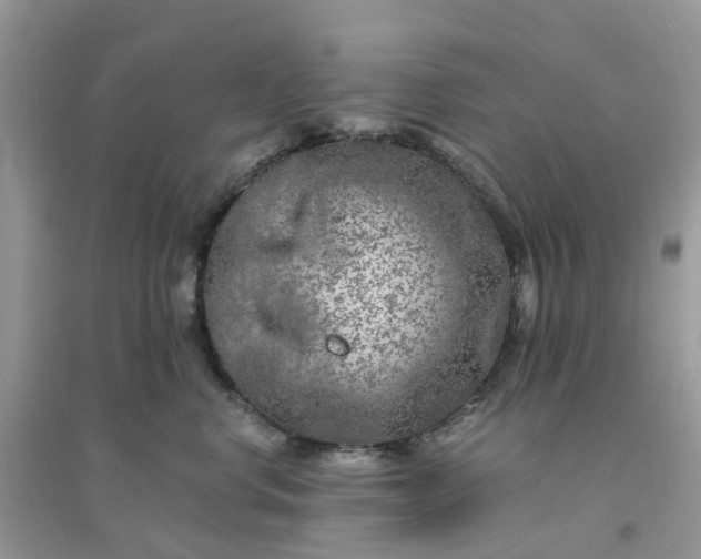 X0000096160668200802011257