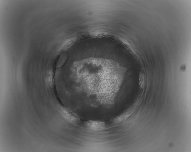 X0000096160670200802011257