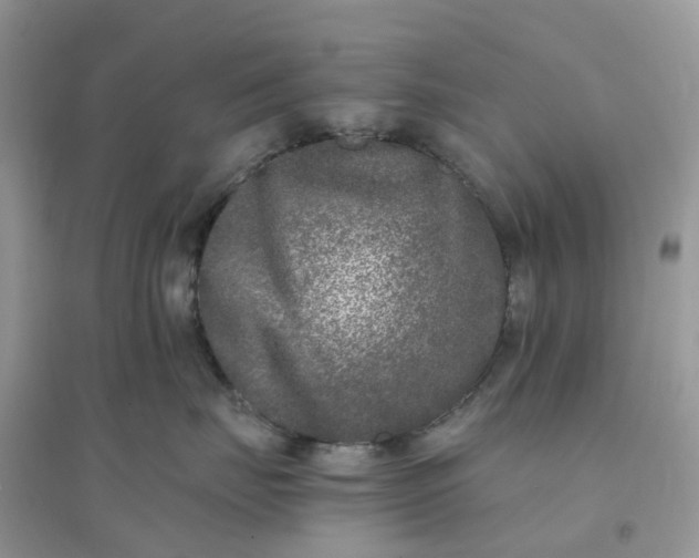 X0000096160671200802011257