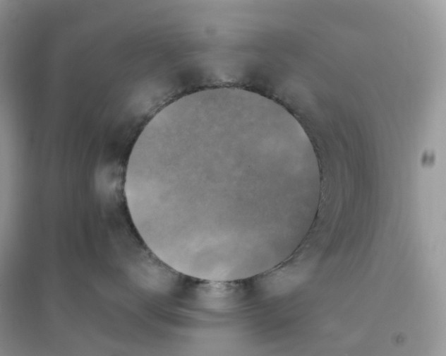 X0000096160672200802011257