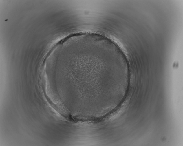 X0000096160673200802011256