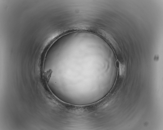 X0000096160675200802011256