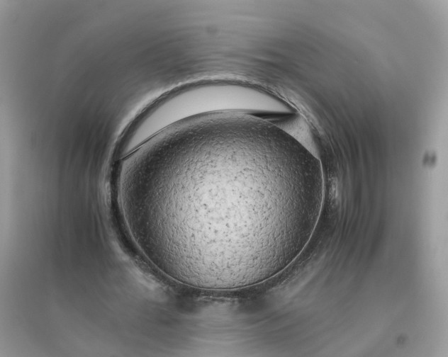 X0000096160676200802011256