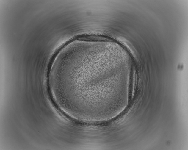 X0000096160677200802011256