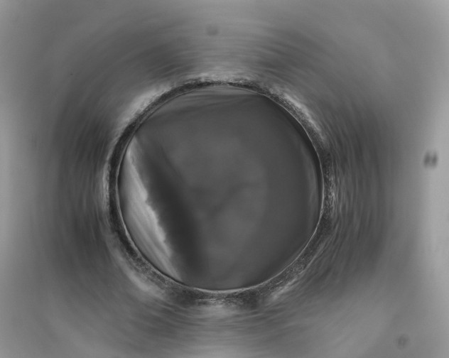 X0000096160678200802011256