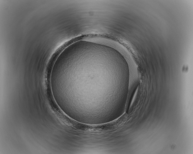 X0000096160680200802011256