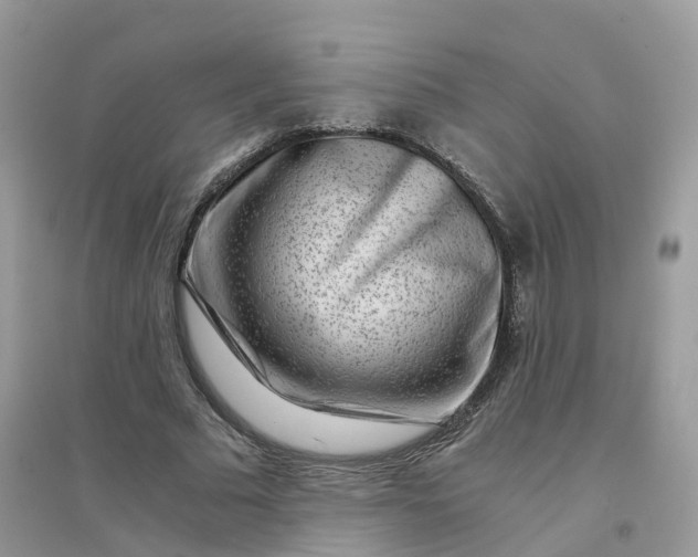 X0000096160681200802011256