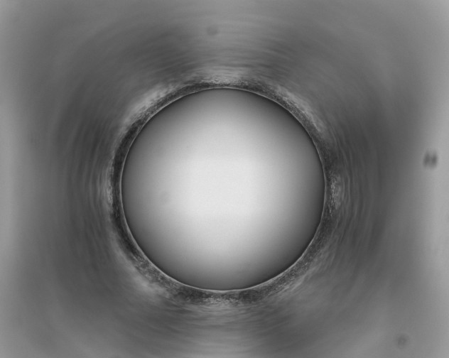 X0000096160682200802011256