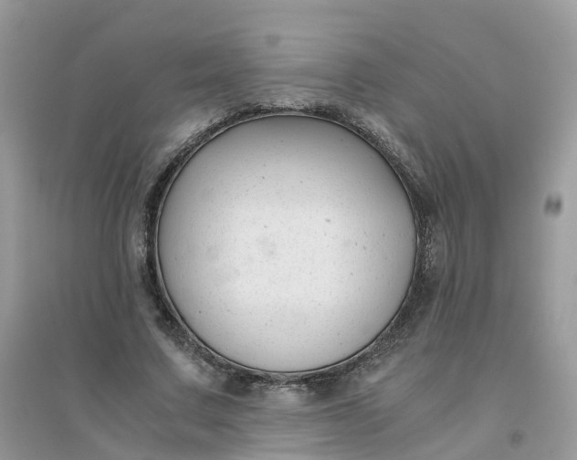 X0000096160683200802011256