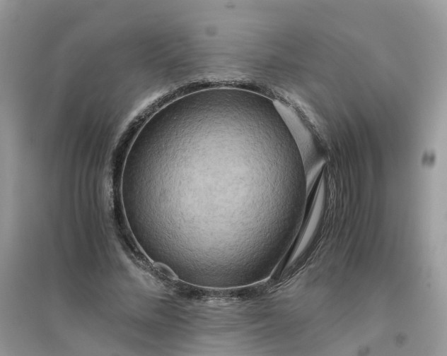 X0000096160684200802011256