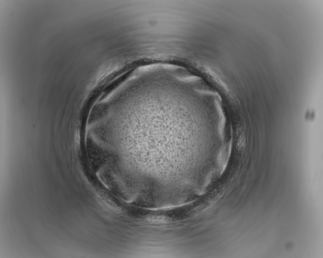 X0000096160685200802011256