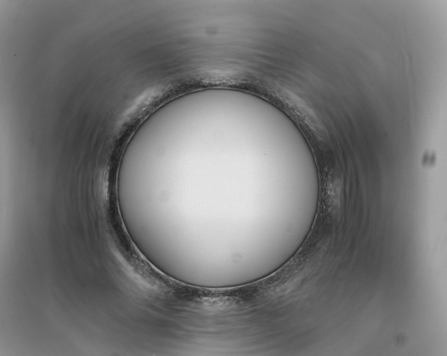 X0000096160686200802011256