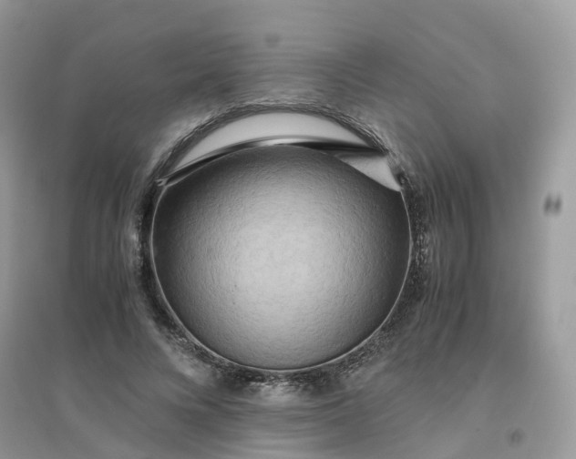 X0000096160688200802011256