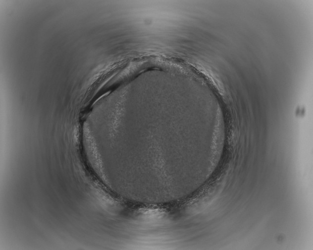 X0000096160689200802011256