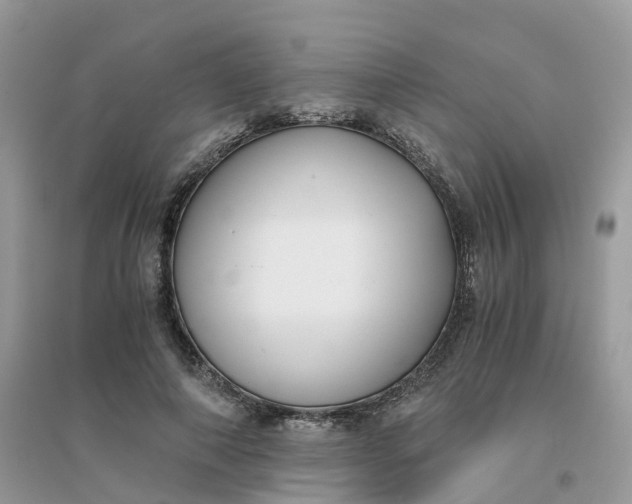 X0000096160690200802011256