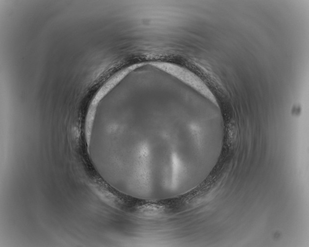 X0000096160691200802011256